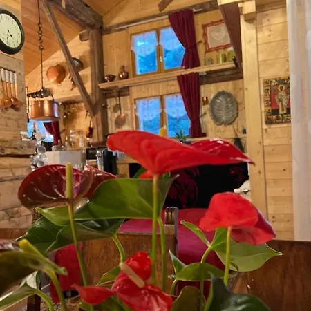 Chalet Ferme Savoyarde Renovee 2 Les Carroz d'Araches